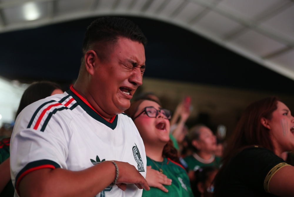 Supporter en larmes dans les tribunes pendant un match de Coupe du monde